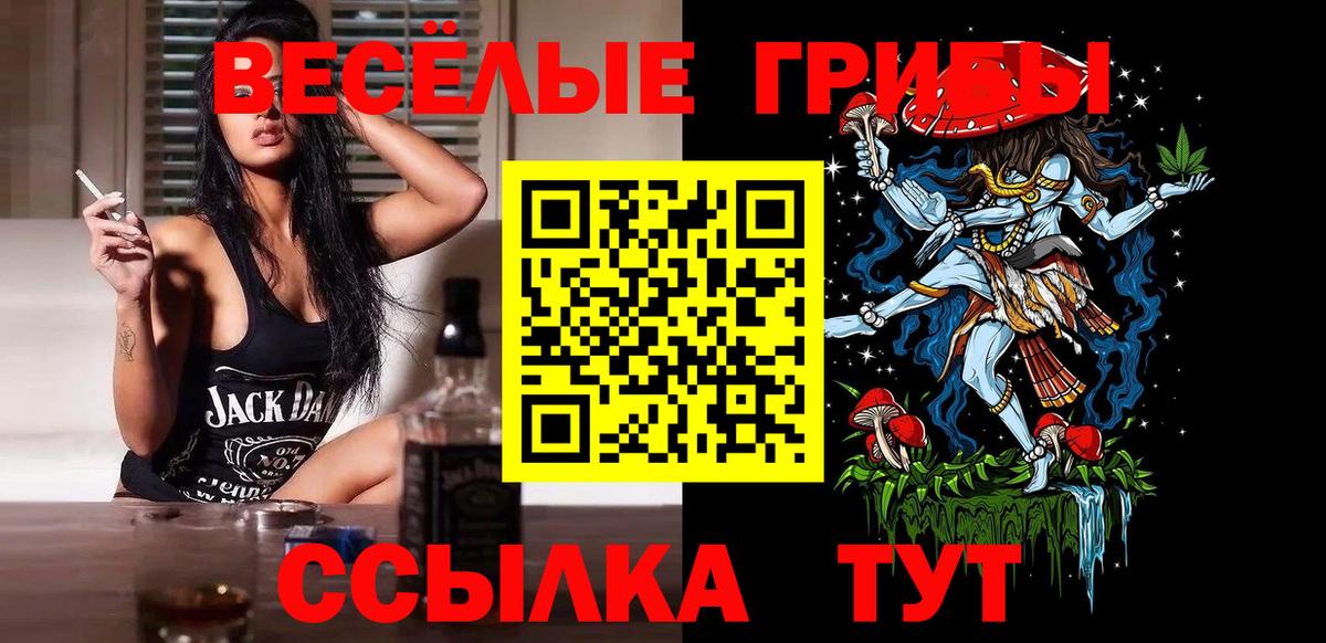 Галлюциногенные грибы ЛСД Горно-Алтайск