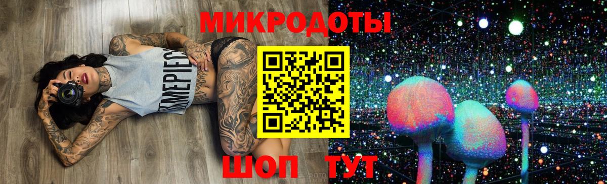 Псилоцибиновые грибы мицелий  Вход с VPN  Горно-Алтайск 
